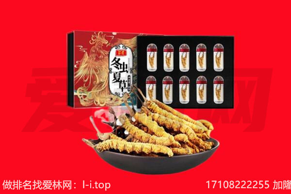 渭滨区回收虫草.jpg